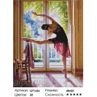 Сложность и количество цветов Балерина Алмазная мозаика на подрамнике GF1606