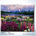 Количество цветов и сложность Долина цветов Раскраска по номерам на холсте Hobbart