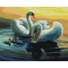  Лебеди на озере Алмазная мозаика на подрамнике GF257