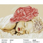 Сложность и количество цветов Спящий ребенок Алмазная мозаика на подрамнике GF337
