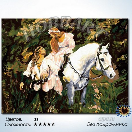 Количество цветов и сложность На белом коне Раскраска по номерам на холсте Hobbart
