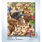 Количество цветов и сложность Любимые щенята Раскраска по номерам на холсте Hobbart HB4050302-LITE