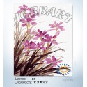 Сиреневые орхидеи Раскраска по номерам на холсте Hobbart