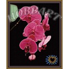 В рамке Утонченность орхидеи Раскраска по номерам на холсте Hobbart HB4050065
