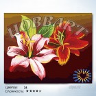 Количество цветов и сложность Две лилии Раскраска по номерам на холсте Hobbart HB4050071