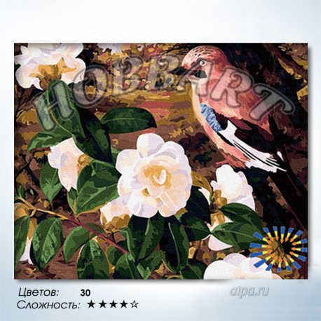 Количество цветов и сложность Птичка певчая Раскраска по номерам на холсте Hobbart HB4050078