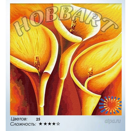 Количество цветов и сложность Цвета солнца Раскраска по номерам на холсте Hobbart HB4040037