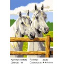 Пара лошадей Раскраска по номерам на холсте
