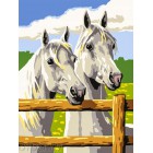  Пара лошадей Раскраска по номерам на холсте EX5052