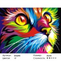 Радужный кот Ваю Ромдони Раскраска по номерам на холсте