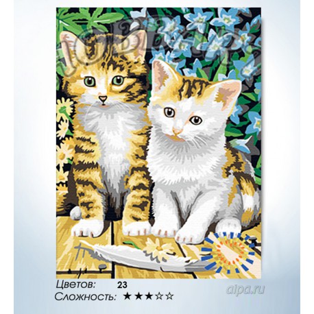 Количество цветов и сложность Чудесные котята Раскраска по номерам на холсте Hobbart HB3040033-LITE