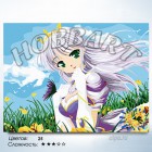 Количество цветов и сложность Принцесса Раскраска по номерам на холсте Hobbart HB3040105