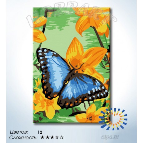 Количество цветов и сложность Размах синих крыльев Раскраска по номерам на холсте Hobbart HB2030091-LITE