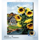 Количество цветов и сложность Солнечная деревня Раскраска по номерам на холсте Hobbart DZ4050053-LITE