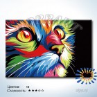 Количество цветов и сложность Радужный кот. Ваю Ромдони Раскраска по номерам на холсте Hobbart DZ2030004-LITE