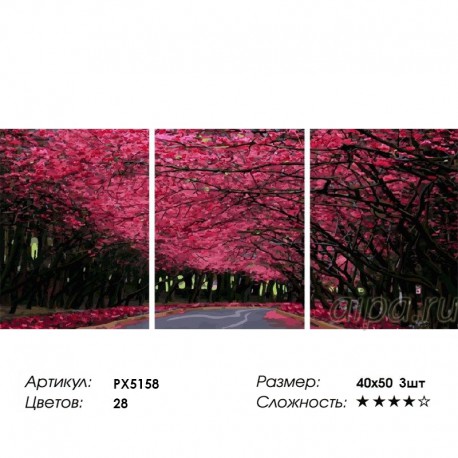 Сложность и количество цветов Пурпурная аллея Триптих Раскраска по номерам на холсте PX5158