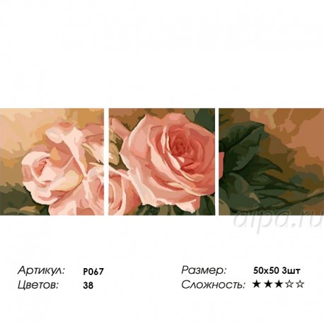 Сложность и количество цветов Чайные розы Триптих Раскраска по номерам на холсте P067
