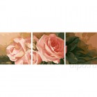  Чайные розы Триптих Раскраска по номерам на холсте P067