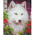 Белый волк Алмазная мозаика на подрамнике