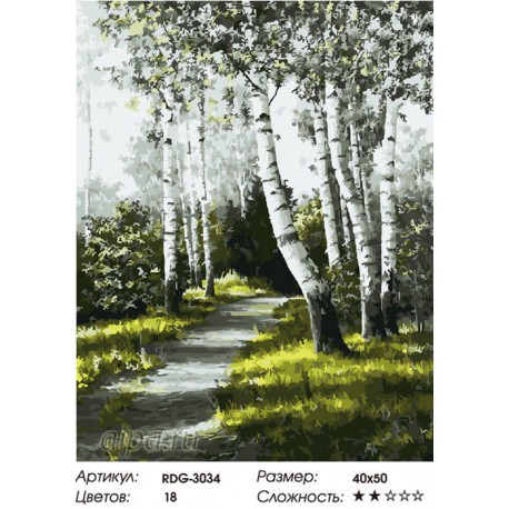 Количество цветов и сложность Березовая аллея Раскраска картина по номерам на холсте RDG-3034