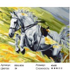 Количество цветов и сложность Скорость Раскраска картина по номерам на холсте RDG-3016