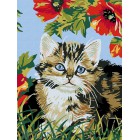  Котенок в цветах Раскраска по номерам на холсте CE009