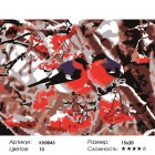 Количество цветов и сложность Снегири Раскраска мини по номерам KH0043