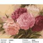 Количество цветов и сложность Оттенки розового Раскраска картина по номерам на холсте KH0055