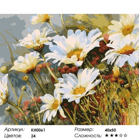 Количество цветов и сложность Полевые ромашки Раскраска картина по номерам на холсте KH0061