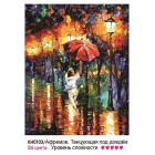 Картинка с упаковки Танцющая под дождем Раскраска картина по номерам на холсте KH0103