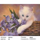 Количество цветов и сложность Неженка Раскраска картина по номерам на холсте KH0136