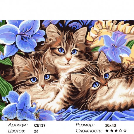 Количество цветов и сложность Голубоглазые котята Раскраска картина по номерам на холсте CE139