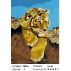  Любознательный тигренок Раскраска картина по номерам на холсте CE006 