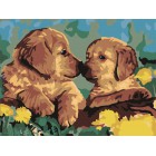  Милые щенки Раскраска картина по номерам на холсте CE102