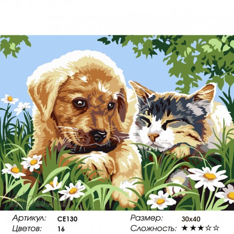 Количество цветов и сложность Большая дружба Раскраска картина по номерам на холсте CE130