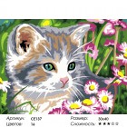 Количество цветов и сложность Дымчатый котёнок Раскраска картина по номерам на холсте CE137