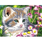  Дымчатый котёнок Раскраска картина по номерам на холсте CE137