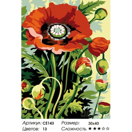Количество цветов и сложность Полевой букет Раскраска картина по номерам на холсте CE143