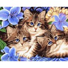  Три котенка Раскраска картина по номерам на холсте CG728