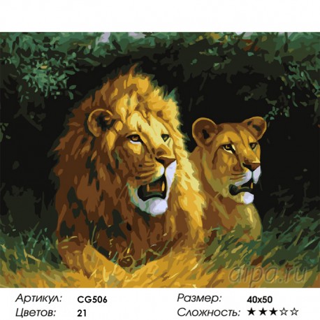 Количество цветов и сложность Грозная пара Раскраска картина по номерам на холсте CG506