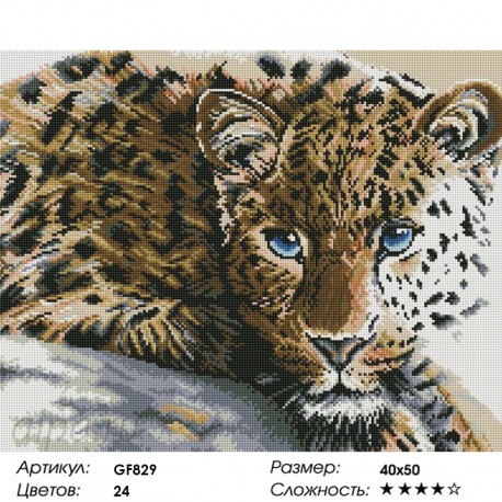 Количество цветов и сложность Леопард Алмазная мозаика вышивка Painting Diamond GF829