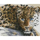  Леопард Алмазная мозаика вышивка Painting Diamond GF829