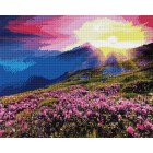  Долина цветов Алмазная мозаика вышивка Painting Diamond GF1154
