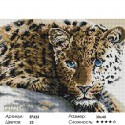 Леопард Алмазная мозаика вышивка Painting Diamond