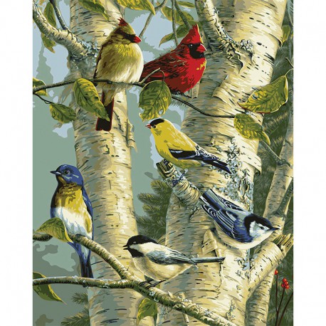Пение птиц Раскраска картина по номерам Plaid