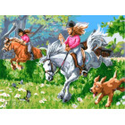 Лошадиные скачки Раскраска картина по номерам акриловыми красками на холсте Menglei