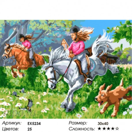 Количество цветов и сложность Лошадиные скачки Раскраска картина по номерам акриловыми красками на холсте Menglei Z-EX5234