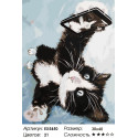 Котенок делает селфи Раскраска картина по номерам акриловыми красками на холсте Menglei