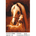 Лошадь и жеребёнок Раскраска картина по номерам акриловыми красками на холсте Menglei