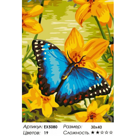 Количество цветов и сложность Бабочка на желтом цветке Раскраска картина по номерам акриловыми красками на холсте Menglei Z-EX50